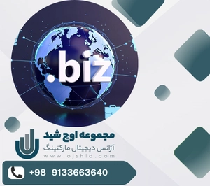 انواع دامنه - دامنه biz