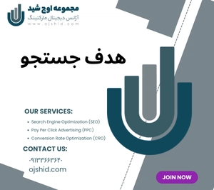 شاخص قصد جستجو - هدف جستجو