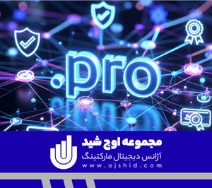کسب و کار حرفه ای - دامنه pro